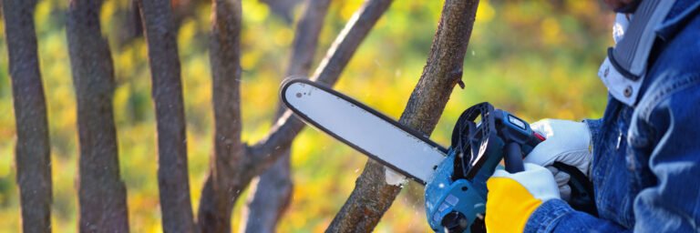 Pruning Chainsaws